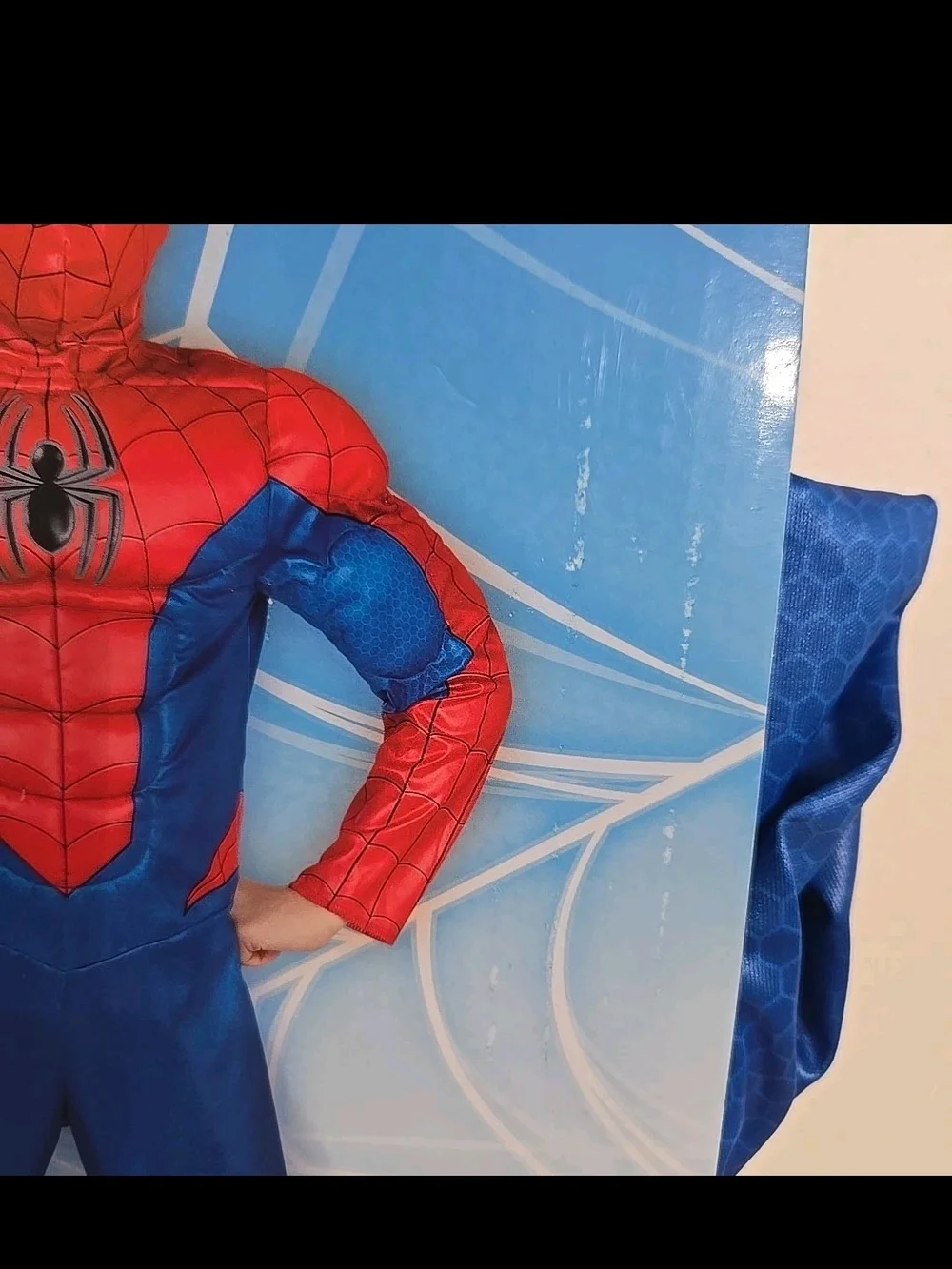 Marvel Spider-Man Boys' L (10/12) Red and Blue Muscle Chest Costume
